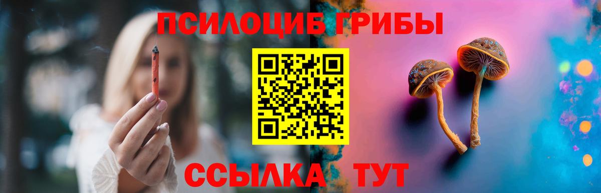 Похвистнево  Псилоцибиновые грибы Psilocybe  Вход с VPN 